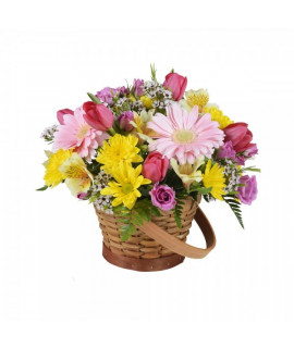 The summer sun basket